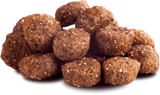 RIND (Adult)